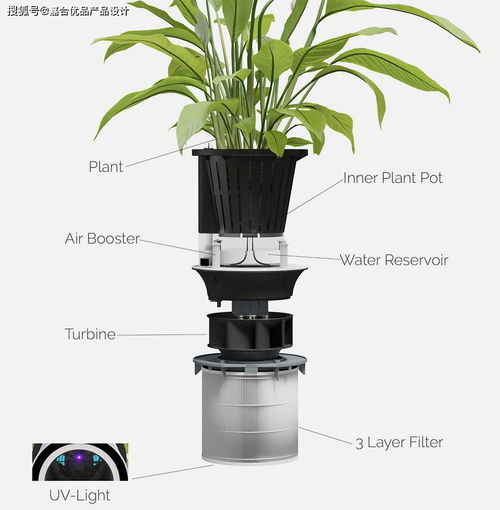 結合了美國航天局的靈感和花盆家居裝飾的凈化器產(chǎn)品設計